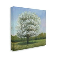 SPUPELL Industries Spring Blossom Tree Landscape White Floral Meadow Canvas Art Art By Tim Otoole